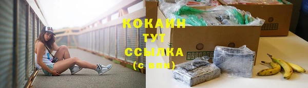 молекула духа Кодинск
